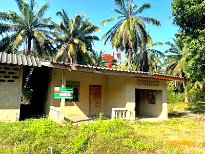 Houses for sale Surat Thani : HOME 4176 Sq.w. Prasaeng Surat Thani for 3.7M