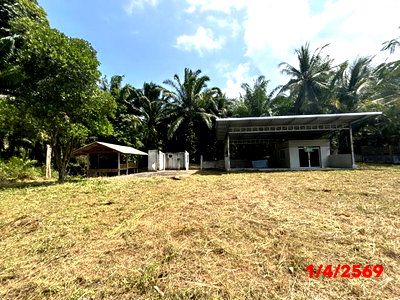ขายโรงงาน : เพิงอเนกประสงค์ 174 ตร.วา ขนอม นครศรีธรรมราช 737,000