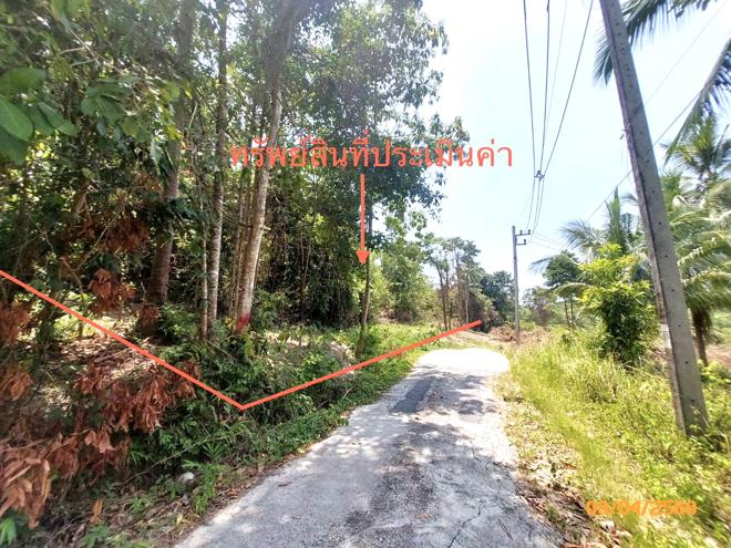 picture LAND 2986 Sq.w. Ko Samui Surat Thani for 20.9M - 2/13