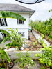 listing thumbnail image 32