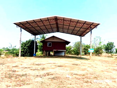 Houses for sale Loeng Nok Tha Yasothon : HOME 1600 Sq.w. Loeng Nok Tha Yasothon for 4.6M
