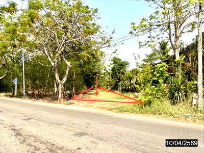 LAND 10632 Sq.w. Kaeng Khlo Chaiyaphum for 2.8M