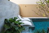 listing thumbnail image 39