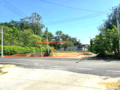 ขายที่ดิน : ที่ดินว่างเปล่า 142.1 ตร.วา สิชล นครศรีธรรมราช 3.8M
