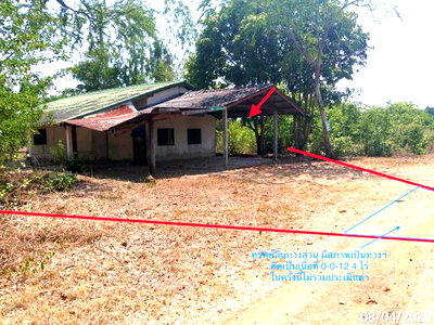 บ้านเดี่ยว นครราชสีมา (โคราช) : บ้านเดี่ยว 229 ตร.วา เฉลิมพระเกียรติ นครราชสีมา 934,000