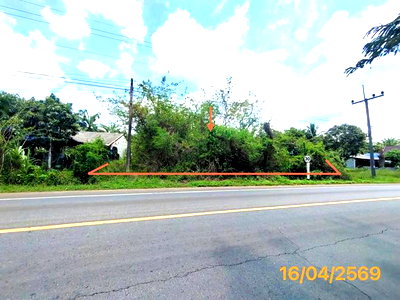 ขายที่ดิน : ที่ดินว่างเปล่า 277.3 ตร.วา ลำทับ กระบี่ 1.4M