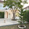 listing thumbnail image 10