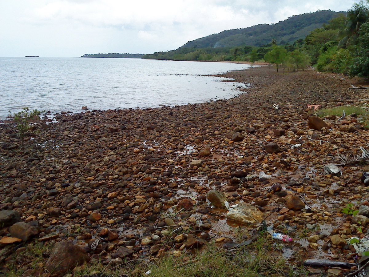 ขายที่ดินบนเกาะช้าง เนื้อที่ 68-1-83 ไร่ แปลงใหญ่มีส่วนที่ติดทะเล และติดภูเขา