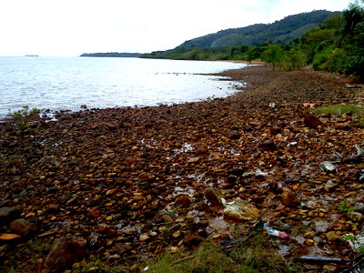 ขายที่ดินบนเกาะช้าง เนื้อที่ 68-1-83 ไร่ แปลงใหญ่มีส่วนที่ติดทะเล และติดภูเขา