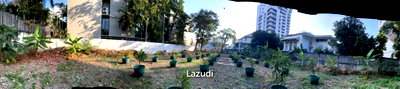 Land for rent DONKI Mall Thonglor   : Beautiful Land for Rent Near Health Land , Big C Ekkamai