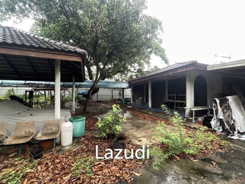 Land For Rent 400 Sq.m Ladprao 41
