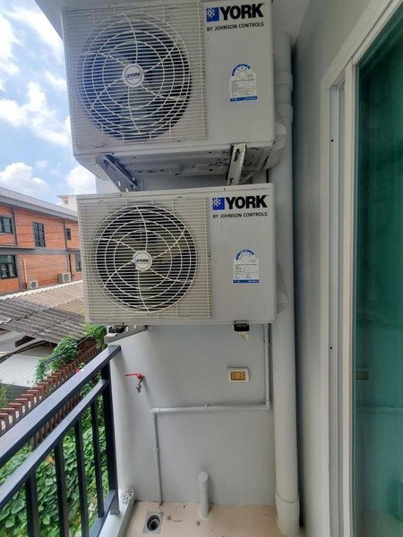 รูป A033233 Vio Khaerai 2 - รูปที่ 6/7