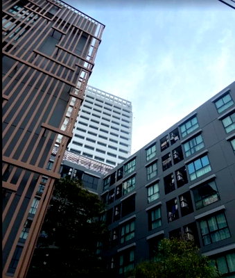 Condos for sale : A033684 The Belgravia @ Ratchada - Ladprao 15