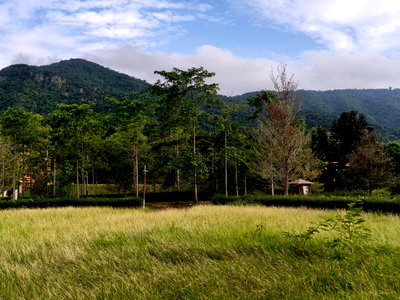 ขายที่ดิน : ขายที่ดินเขาใหญ่ ที่ดินในโครงการทอสคานา Toscana แปลงสวย ราคาดีมาก โซนใกล้อุทยานแห่งชาติเขาใหญ่ วิวเขาสวย อากาศดีมาก เหมาะทำบ้านพักตากอากาศ 087-9074045