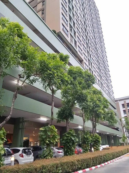 รูป A040018 Lumpini Place Pinklao 2 - รูปที่ 2/8