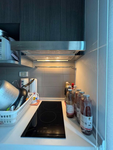 รูป A033498 Elio del nest - รูปที่ 8/8