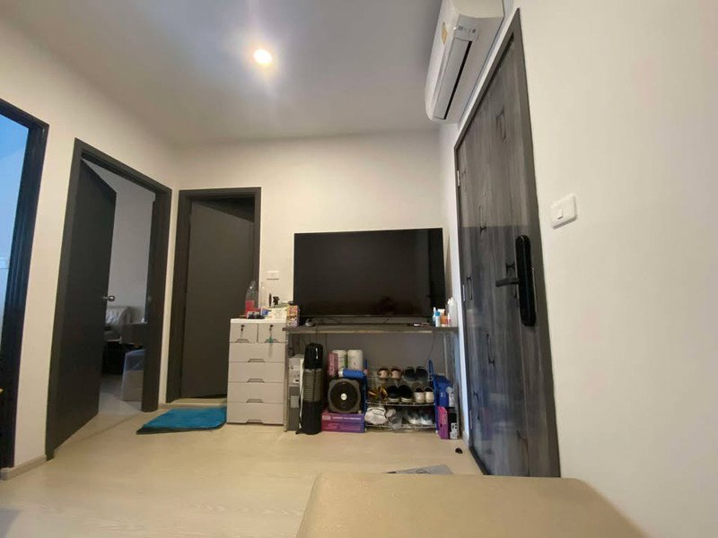 รูป A033498 Elio del nest - รูปที่ 3/8