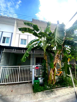 เช่าทาวน์โฮม ปลวกแดง : ให้เช่าทาวน์โฮม ม.ลลิล ใกล้แยกวังตาผิน ปลวกแดง ระยอง