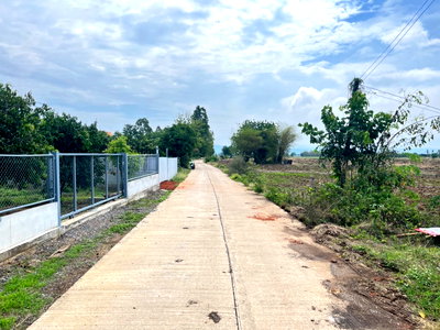 Land for sale Nong Phai Phetchabun : Land for sale at Nong phai Pet haboon opposite the temple!