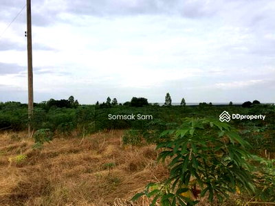 ที่ดิน ม.รามคำแหง 2 : ขายที่ดิน  เนื้อที่  18 ไร่ ใกล้วัดหนองบอน จ.ฉะเชิงเทรา