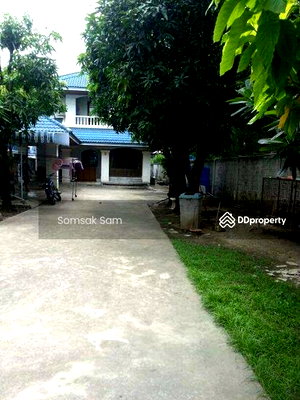 เช่าบ้านเดี่ยว ถนนสุขุมวิท : ให้เช่าบ้านเดี่ยว ใกล้สถานีรถไฟฟ้าแบริ่ง กทม. เนื้อที่ 130 ตรว