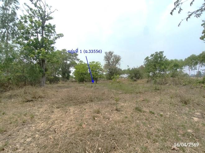 รูป ที่ดินว่างเปล่า 2669 ตร.วา เรณูนคร นครพนม 1.5M - รูปที่ 5/31