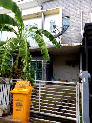 Townhouses for sale Samut Prakarn : For Sale Townhouse/Townhome  , The connect suvarnnabhumi 1 , Racha Thewa , Bang Phli , Samut Prakarn , CX-155486 ✅ Live chat with us ADD LINE @connexproperty ✅