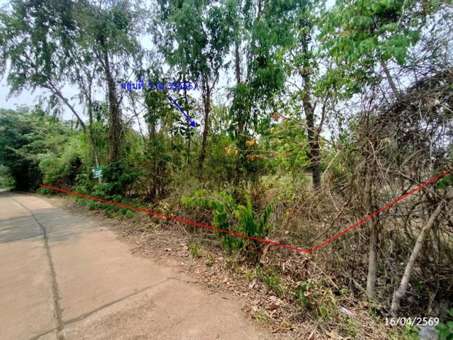 รูป ที่ดินว่างเปล่า 2669 ตร.วา เรณูนคร นครพนม 1.5M - รูปที่ 2/31