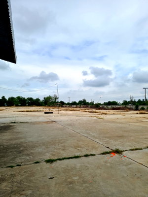 ขายโรงงาน : โรงสี 23237 ตร.วา อำเภอวชิรบารมี จังหวัดพิจิตร 61.2M