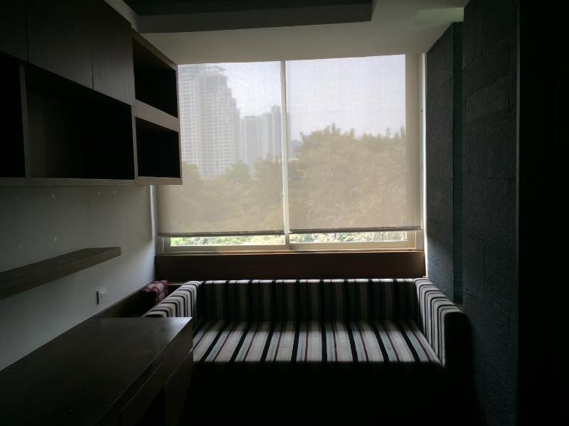 รูป A036465 Ficus Lane - รูปที่ 2/8