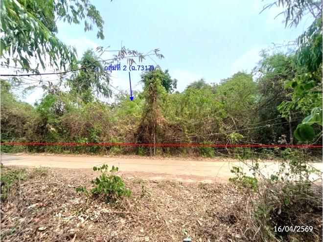 รูป ที่ดินว่างเปล่า 2669 ตร.วา เรณูนคร นครพนม 1.5M - รูปที่ 12/31
