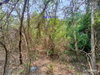 listing thumbnail image 25