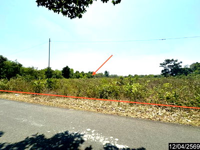 ขายที่ดิน : ที่ดินว่างเปล่า 1662.3 ตร.วา เมืองอุบลราชธานี อุบลราชธานี 4.2M