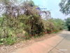 listing thumbnail image 23