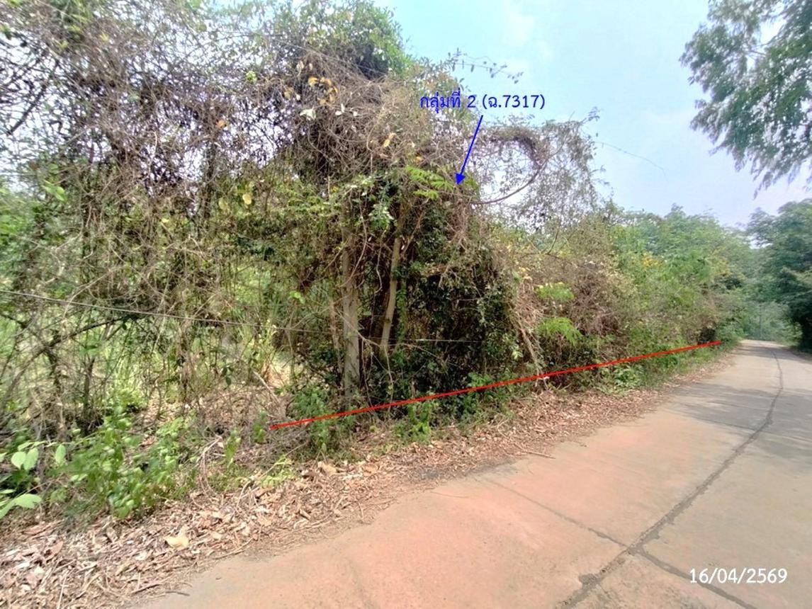 รูป ที่ดินว่างเปล่า 2669 ตร.วา เรณูนคร นครพนม 1.5M - รูปที่ 24/31