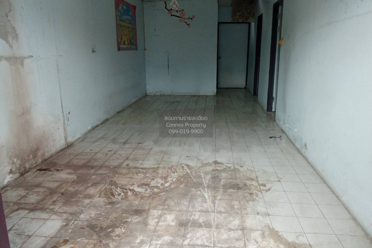 รูป ขายทาวน์เฮ้าส์/ทาวน์โฮม  พฤกษา 1 คลอง 8 ธัญบุรี ลำผักกูด ธัญบุรี ปทุมธานี CX-155449 ✅ ทักไลน์ @connexproperty ตอบทันที ทีมงานมืออาชีพ ✅ - รูปที่ 2/7