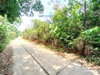 listing thumbnail image 22