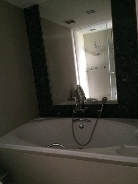รูป A036465 Ficus Lane - รูปที่ 1/8