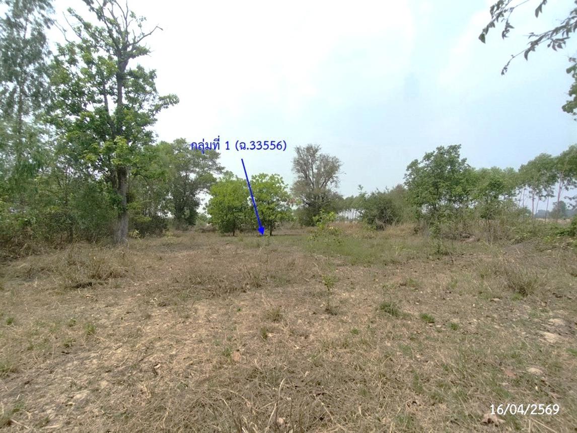 รูป ที่ดินว่างเปล่า 2669 ตร.วา เรณูนคร นครพนม 1.5M - รูปที่ 18/31