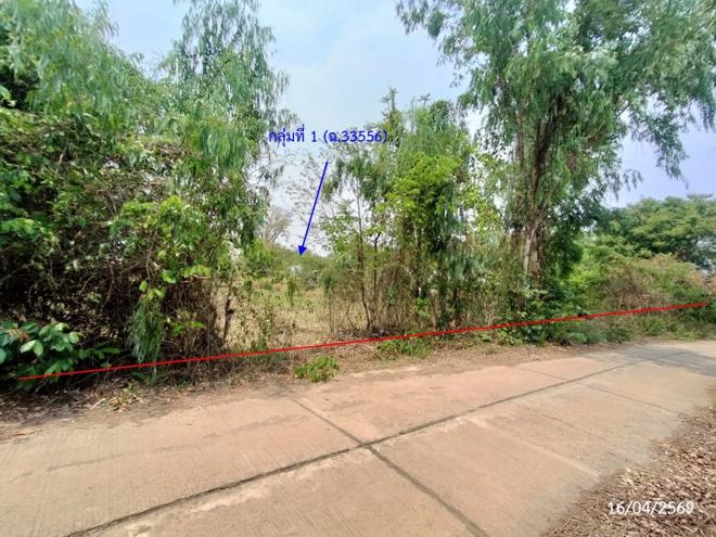รูป ที่ดินว่างเปล่า 2669 ตร.วา เรณูนคร นครพนม 1.5M - รูปที่ 4/31
