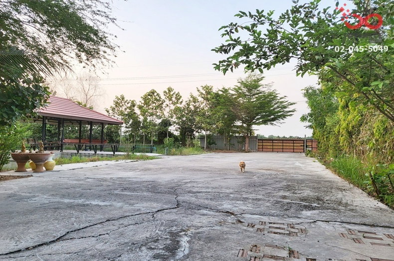 รูป ขายบ้านเดี่ยวพร้อมกิจการห้องพัก 20 ห้อง พร้อมที่ดิน 4 ไร่ คลองหกตะวันตก คลองหลวง ปทุมธานี ใกล้ชายสี่ - รูปที่ 15/15