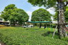 listing thumbnail image 10