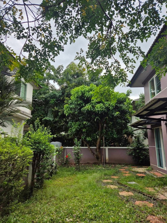 รูป For Rent at   Parichat Suwinthawong - รูปที่ 5/15