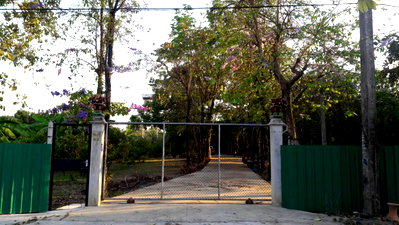 Houses for sale : B0095 For Sale/Purchase: Two adjacent houses with gardens in Chaiyo District, Ang Thong Province. Affordable price. Interested? Line: @951qfbfi