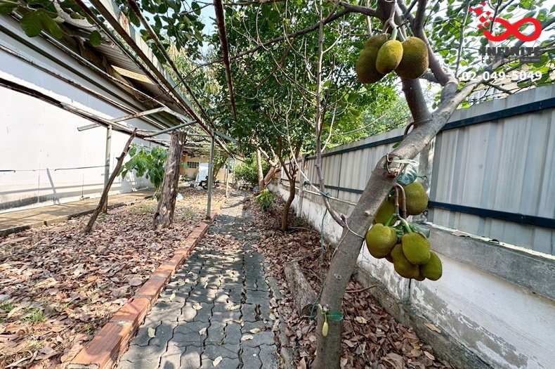 รูป ขายที่ดินหมู่บ้านสราสินี เพลส 109 ตรว. พหลโยธิน 48 (สายหยุด)ใกล้BTS - รูปที่ 9/11