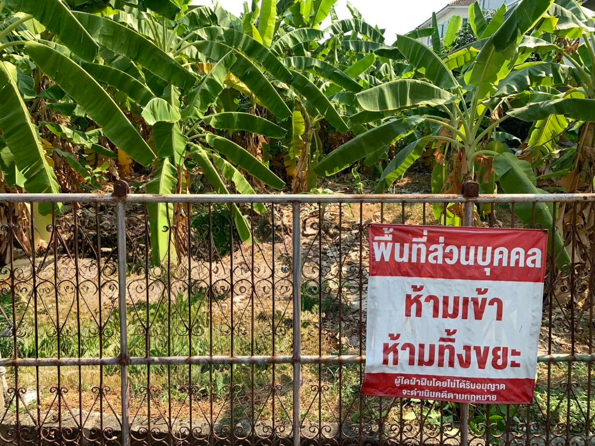 รูป ขายที่ดินปุณณวิถี20 สุขุมวิท101 เดินไป BTS 850 ม. ที่ดิน Punnawithi 136 ตร.ว ใกล้รถไฟฟ้า ใกล้ห้างทรูดิจิตอล Cloud11 ซีคอนศรีนครินทร์ ขายถูก 0879074045 - รูปที่ 2/2