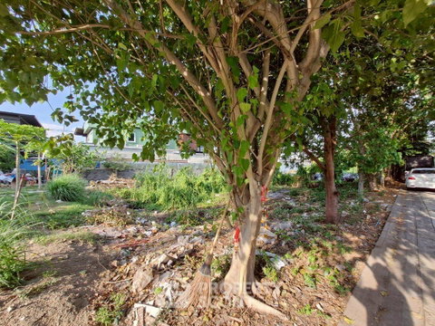 ขายที่ดิน บางพุทธ ปากเกร็ด นนทบุรี (ID 2914874)