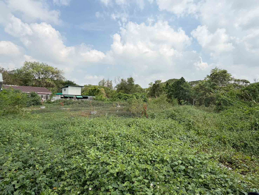 รูป ขาย ที่ดิน หทัยราษฎร์ ซอย 23-1 เหมาะทำบ้านพักอาศัย 200 ตรว - รูปที่ 4/5