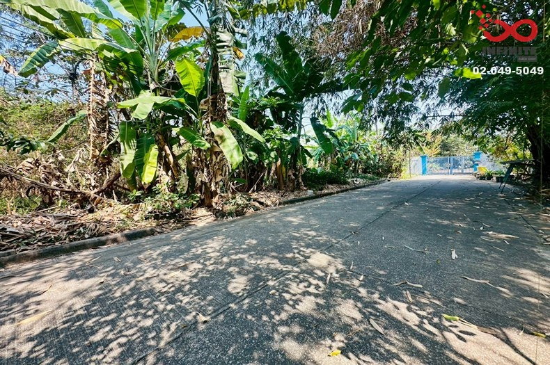รูป ขายที่ดิน 96ตร.วา หมู่บ้านฟลอร่าวิลล์ ถนนสุวินทวงศ์ ลำผักชี หนองจอก - รูปที่ 3/5