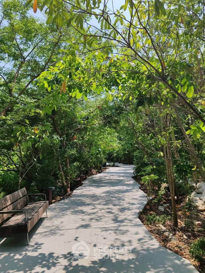 รูป คอนโด 1 ห้องนอน 63 ตร.ม. ให้เช่า Mulberry Grove The Forestias บางแก้ว บางพลี (ID 2924054) - รูปที่ 11/12